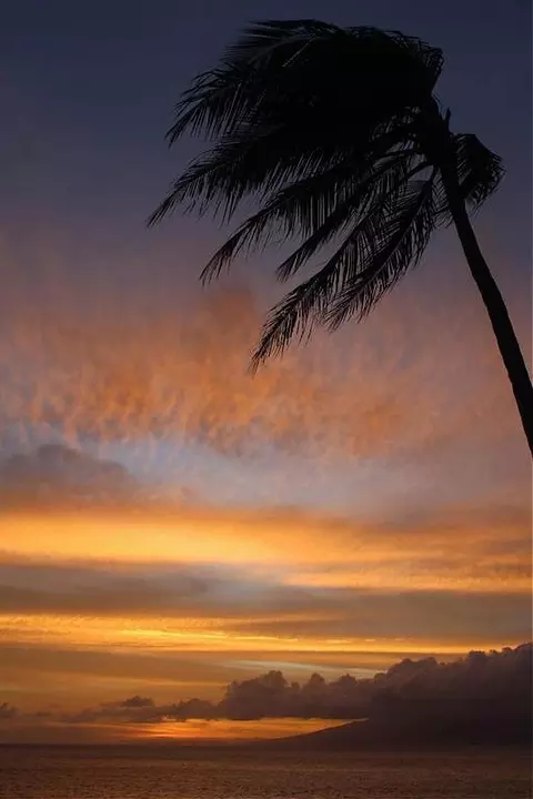 3543 Lower Honoapiilani Rd #A-401 U, Lahaina, HI 96761