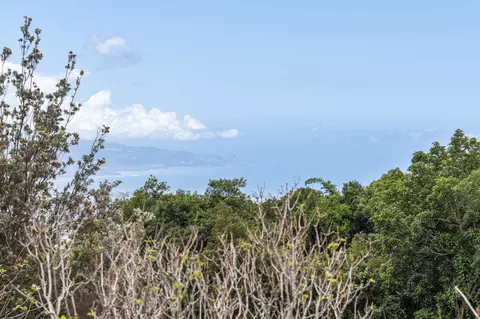 View/Area - 10 Meakoho Pl, Kula, HI 96790 photo 4 of 7