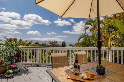 10 Lopaka Pl, Kula, HI 96790 photo 16