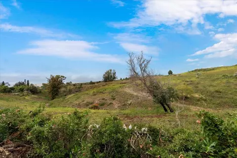 Other - 119 Ka Dr, Kula, HI 96790 photo 6 of 7