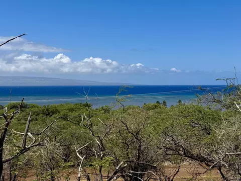 0 Uluanui Rd #147, Kaunakakai, HI 96748