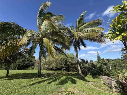 2215 Apala Pl, Haiku, HI 96708 photo 30