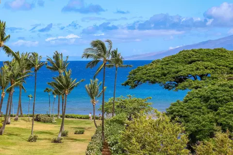 3445 Lower Honoapiilani Rd #530, Lahaina, HI 96761
