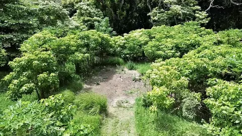 000 Kamehameha V Hwy #1B, Kaunakakai, HI 96748