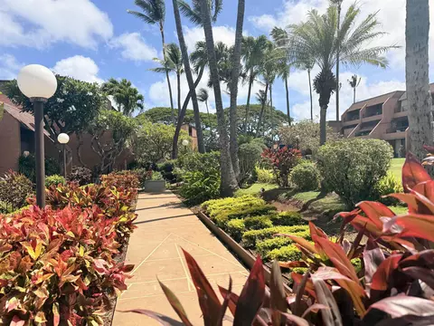 Exterior - 3959 Lower Honoapiilani Rd #503, Lahaina, HI 96761 photo 7 of 11