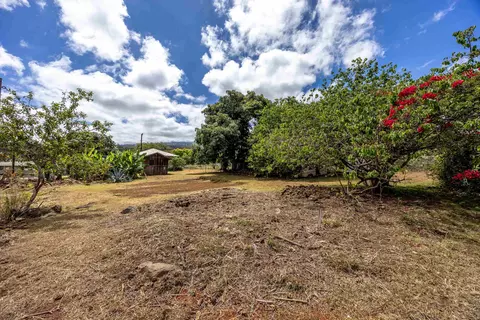3044 Lower Kula Rd, Kula, HI 96790 photo 24