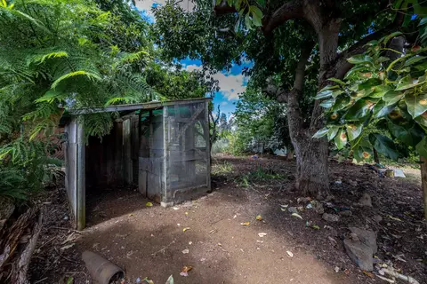 3044 Lower Kula Rd, Kula, HI 96790 photo 22