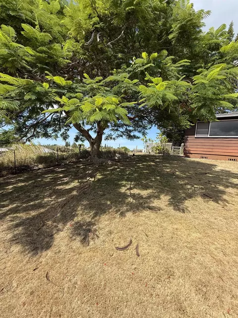 Exterior - 2095 Lilikoi Rd, Haiku, HI 96708 photo 8 of 13