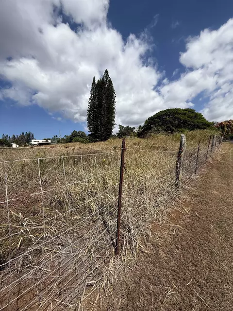 Other - 2095 Lilikoi Rd, Haiku, HI 96708 photo 2 of 4