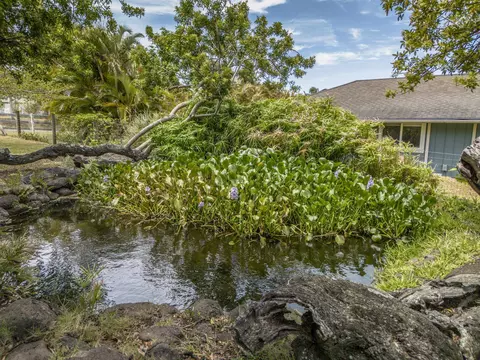 1865 Kalia Way, Haiku, HI 96708 photo 39