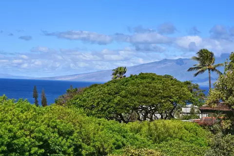 150 Puukolii Rd #52, Lahaina, HI 96761