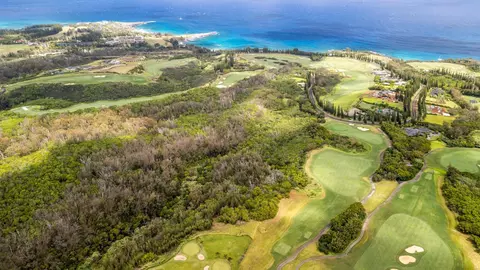 0 Plantation Estates Dr, Lahaina, HI 96761