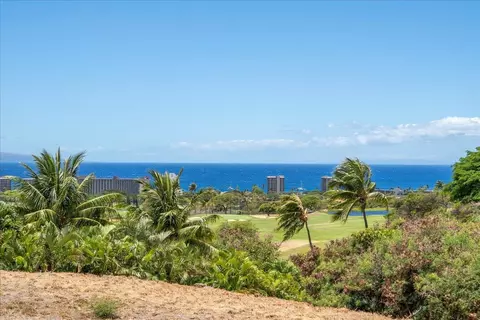 4 Anapuni Loop, Lahaina, HI 96761 photo 2