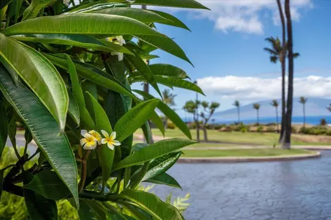 4 Anapuni Loop, Lahaina, HI 96761 photo 33