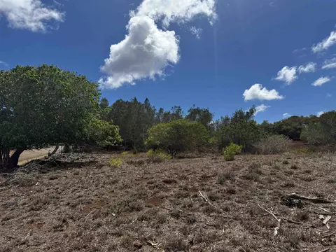 Kaana Street #499, Maunaloa, HI 96770