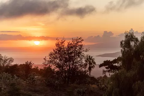 View/Area - 358 Holopuni Rd, Kula, HI 96790 photo 5 of 5
