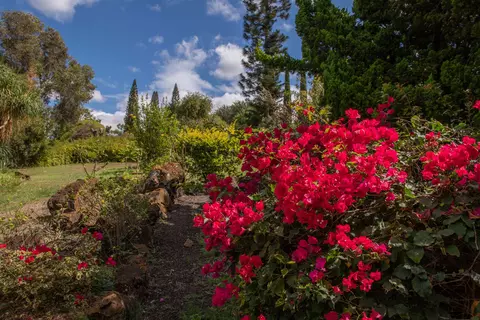 Exterior - 358 Holopuni Rd, Kula, HI 96790 photo 8 of 22