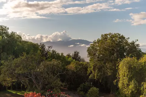 Other - 358 Holopuni Rd, Kula, HI 96790 photo 6 of 6