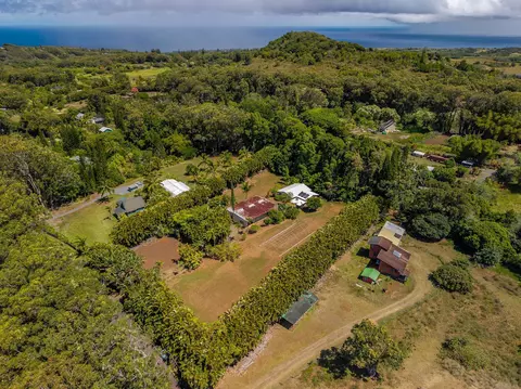 81 Kapuai Rd, Haiku, HI 96708 photo 45