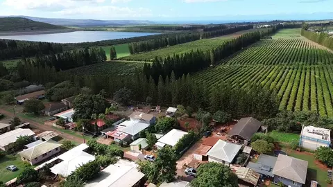 0 Kialoa St, Kualapuu, HI 96757