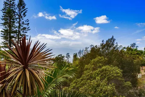 View/Area - 33 Uau Pl, Kula, HI 96790 photo 4 of 7