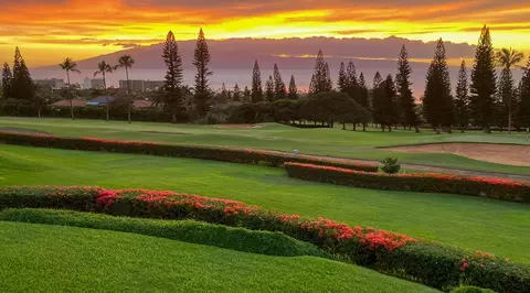 50 Puu Anoano St #2304, Lahaina, HI 96761
