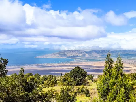 View/Area - 1375 Copp Rd, Kula, HI 96790 photo 7 of 8
