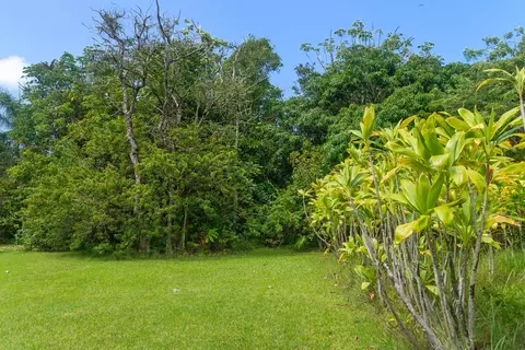 Exterior - 262 Wailua Rd, Hana, HI 96713 photo 9 of 13