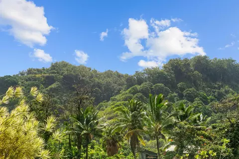 Exterior - 262 Wailua Rd, Hana, HI 96713 photo 10 of 13