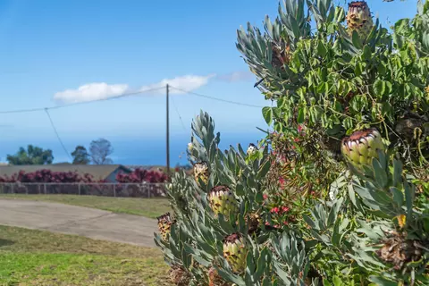 Exterior - 79 Lauie Dr, Kula, HI 96790 photo 4 of 5