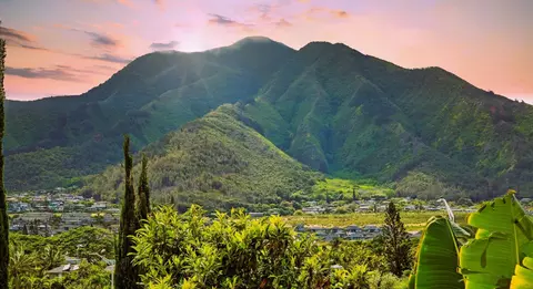 663 Meakanu Ln #701, Wailuku, HI 96793