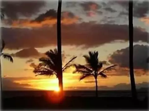 1310 Uluniu Rd #117, Kihei, HI 96753