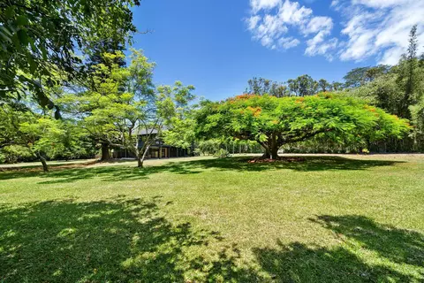 Exterior - 965 Hog Back Rd, Haiku, HI 96708 photo 9 of 13