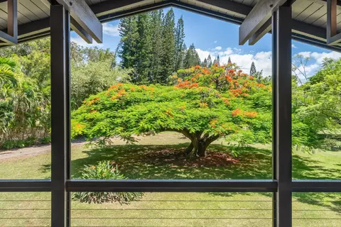 Exterior - 965 Hog Back Rd, Haiku, HI 96708 photo 3 of 13