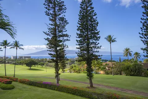 50 Puu Anoano St #1204, Lahaina, HI 96761