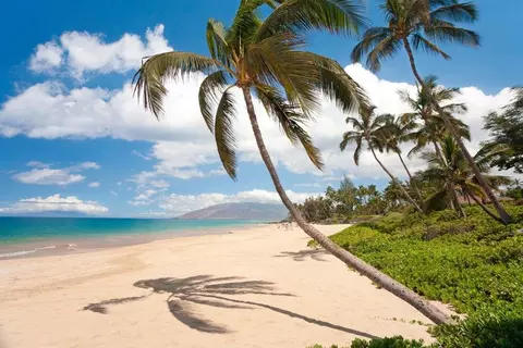 Other - 5315 Lower Honoapiilani Rd #E-141, Lahaina, HI 96761 photo 1 of 1