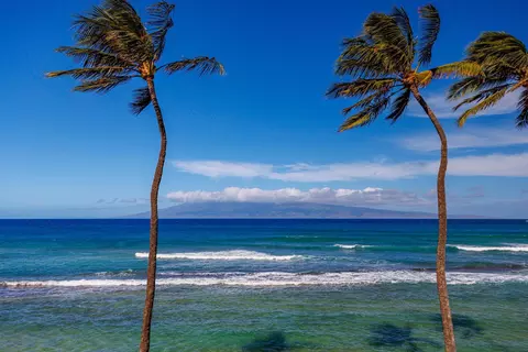 3543 Lower Honoapiilani Rd #F303, Lahaina, HI 96761