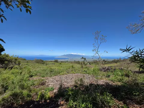 487 Cross Rd, Kula, HI 96790