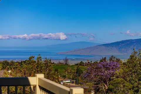 40 Kapalulu Pl, Kula, HI 96790