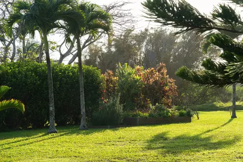 453 N Honokala Rd, Haiku, HI 96708 photo 4