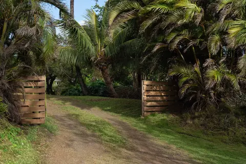453 N Honokala Rd, Haiku, HI 96708 photo 2