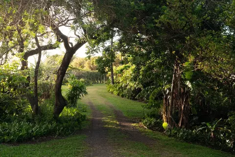 453 N Honokala Rd, Haiku, HI 96708 photo 3