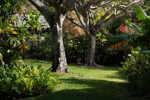 453 N Honokala Rd, Haiku, HI 96708 photo 16