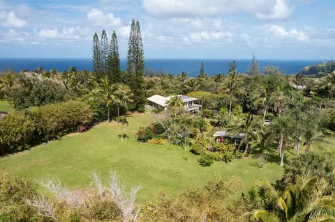 453 N Honokala Rd, Haiku, HI 96708 photo 33