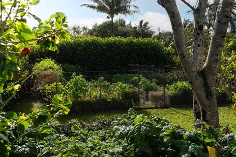453 N Honokala Rd, Haiku, HI 96708 photo 31