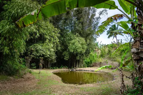 33 Hoolawa Rd, Haiku, HI 96708 photo 9