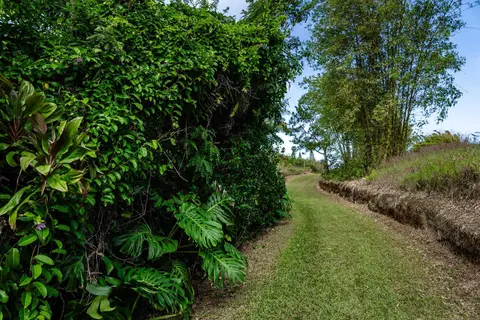 33 Hoolawa Rd, Haiku, HI 96708 photo 44