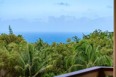 33 Hoolawa Rd, Haiku, HI 96708 photo 19