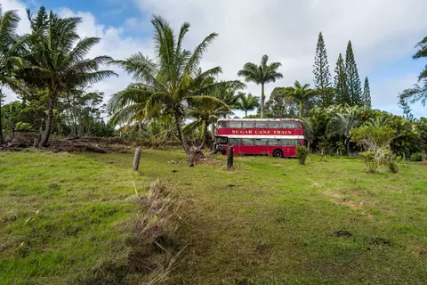 33 Hoolawa Rd, Haiku, HI 96708 photo 46