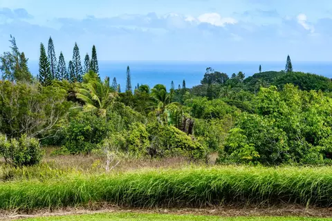 33 Hoolawa Rd, Haiku, HI 96708 photo 7